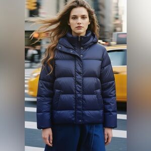 Everlane Blue Re:Down Puffy Puff Puffer Parka Jacket with Hood NWT